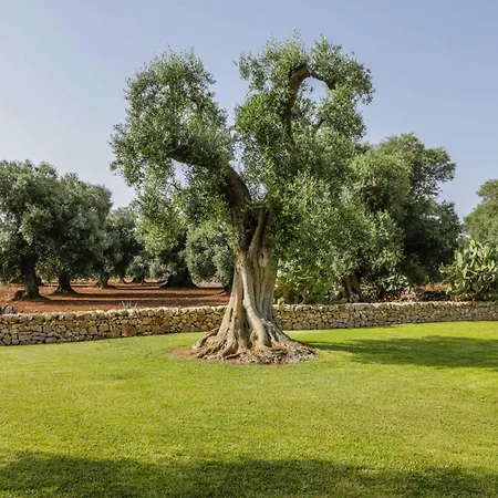 Villa *exclusive Apulian With Heated Swimming Pool* *